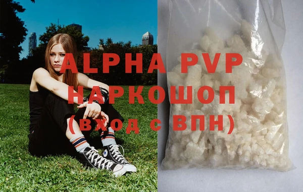 PSILOCYBIN Белокуриха