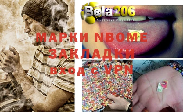 PSILOCYBIN Белокуриха