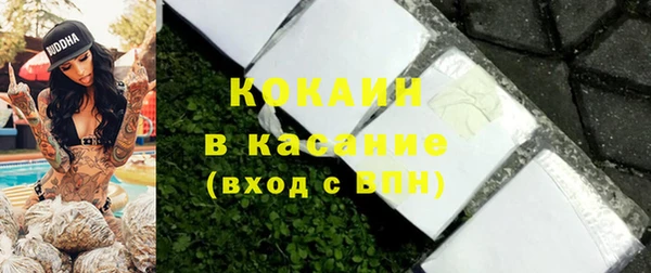 a pvp Бородино