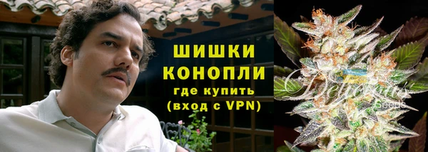PSILOCYBIN Белокуриха