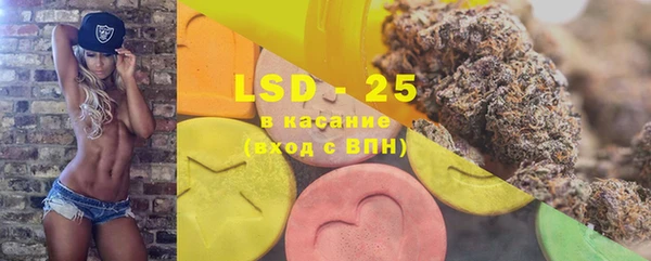 PSILOCYBIN Белокуриха