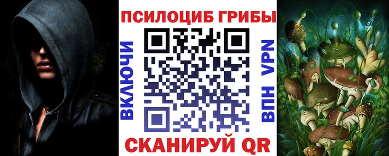 Купить закладки  Боготол  Псилоцибиновые грибы Magic Shrooms 